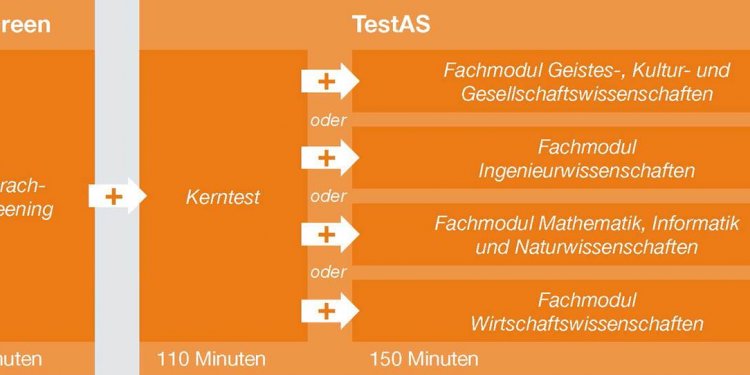 Structure of the TestAS